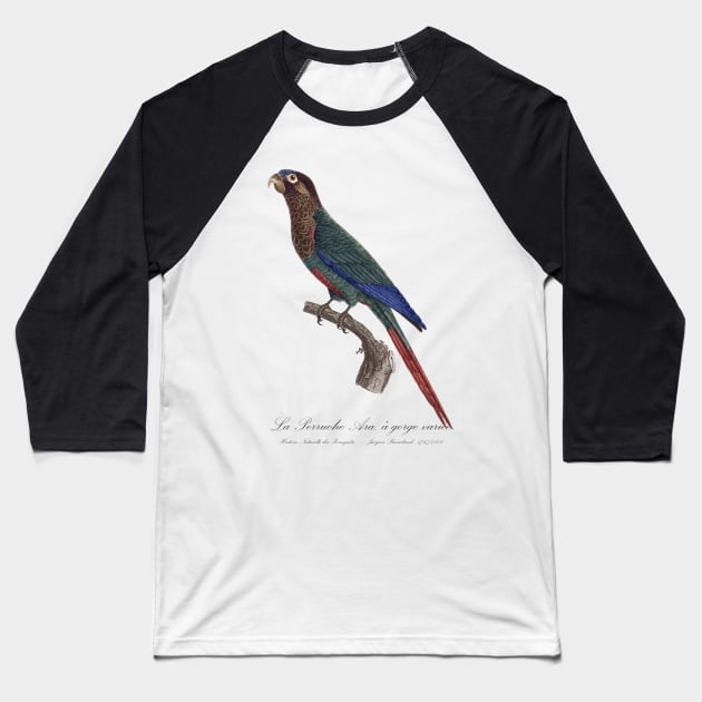 La Perruche Ara, a gorge variee Parakeet - Jacques Barraband 19th century Illustration Baseball T-Shirt by SPJE Illustration Photography